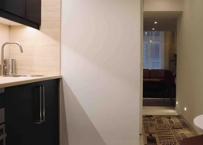 公寓 R11 Cozy In The Downtown Of 布达佩斯